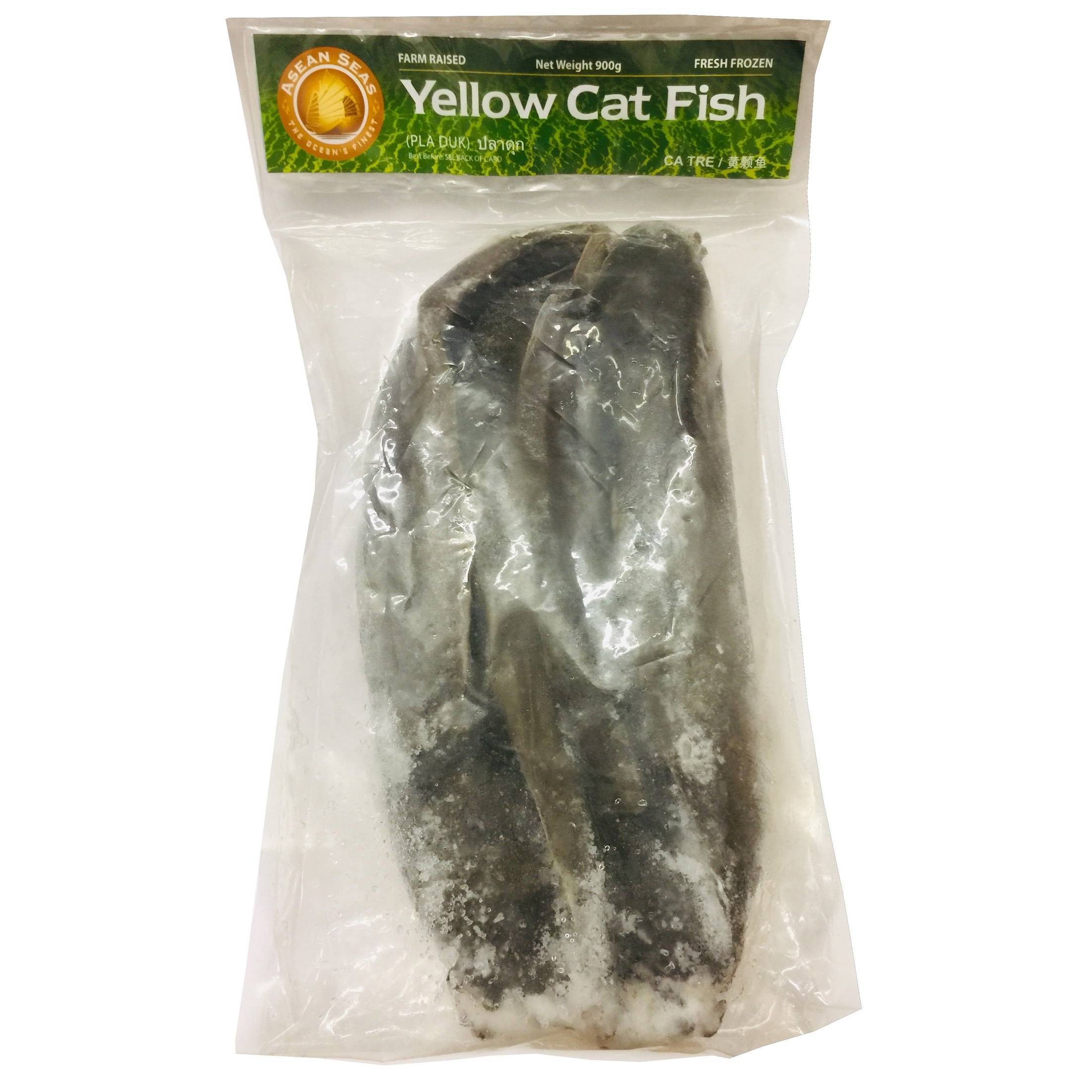 Farm Raised Yellow Cat Fish Net 900g