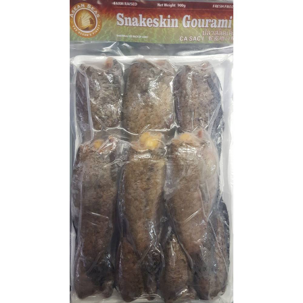 Asean Seas Snakeskin Gourami 900g