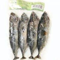 Kimson Bullet Tuna 1kg