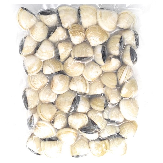 Ocean Classic Cooked White Clam Shell On 1kg
